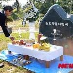 출처 뉴시스