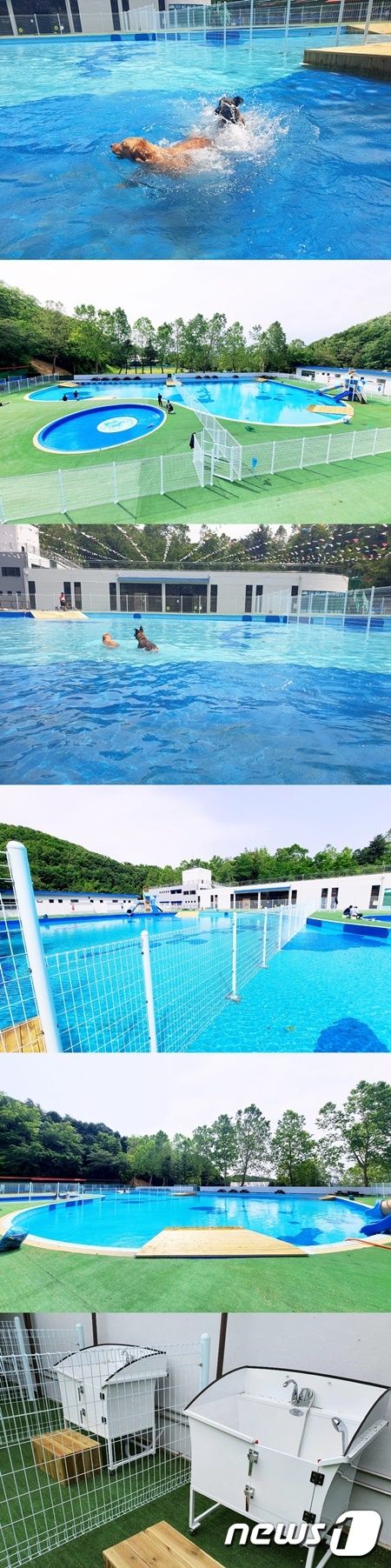 출처 뉴스원