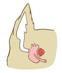 출처 로얄동물메디컬센터