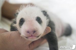 출처 뉴스원