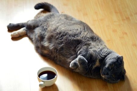 장기화되는 코로나19로 생활패턴에도 많은 변화가 생기고 있다