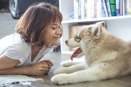 사료 양은 귀찮더라도 측정 컵, 혹은 계량 저울을 통해 정확히 맞춰 배분하는 것이 좋다.