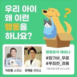 인공지능 서비스를 개발 중인 파이리코의 웨비나