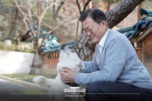 문재인 대통령과 15살 '마루'. 출처 청와대