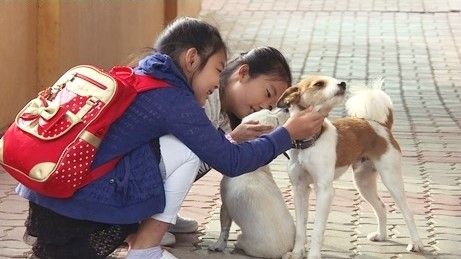 출처 동물매개치료, 반려견은 인간을 어떻게 치유하는가? '생로병사의 비밀'